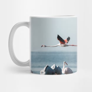 Greater Flamingos Mug